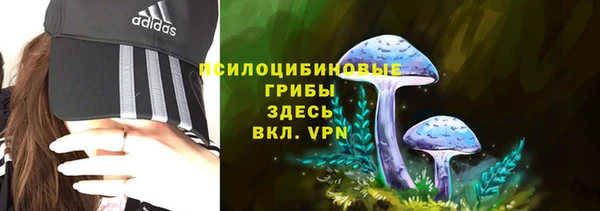 дурь Баксан