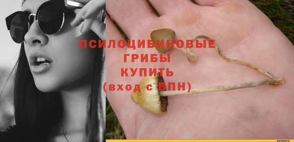 соль ск Балабаново
