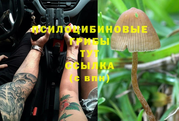 дживик Рославль