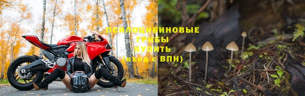 дживик Рославль