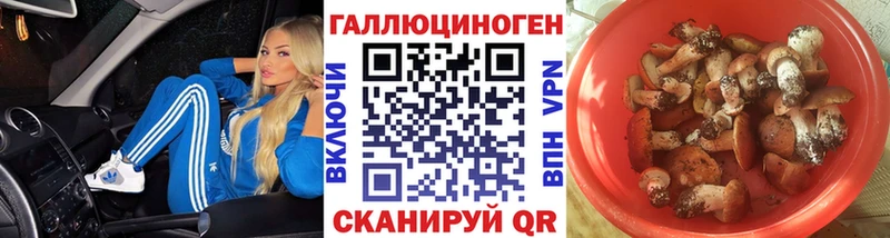 купить наркотики цена  Новопавловск  Псилоцибиновые грибы MAGIC MUSHROOMS 